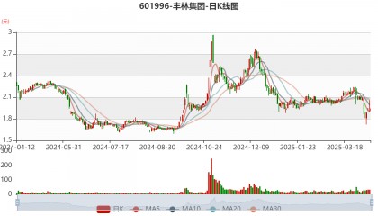 丰林集团：2024年亏损1.2亿元