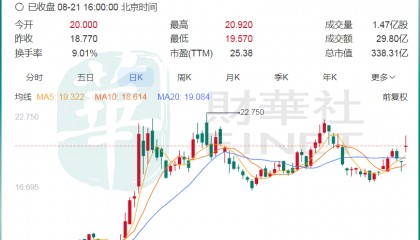 上半年净利同增超11倍，“稳定币龙头”众安在线跳空大涨！