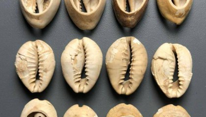 一枚币两个错别字(一枚币两个错别字图片)