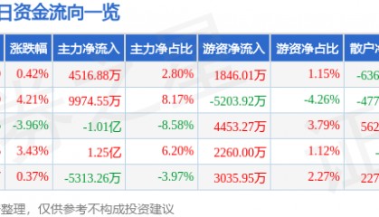 股票行情快报：麦格米特（002851）5月13日主力资金净买入4516.88万元