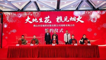 熊猫烟花携手西樵夜间文旅产业，助推烟花文旅深度融合