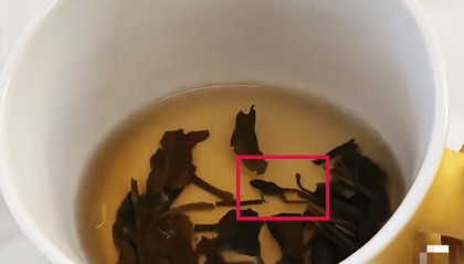 奈雪的茶，被曝喝出青蛙