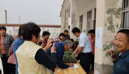 济南市莱芜区羊里街道李中荣村：“小葫芦”孕育集体经济“大产业”
