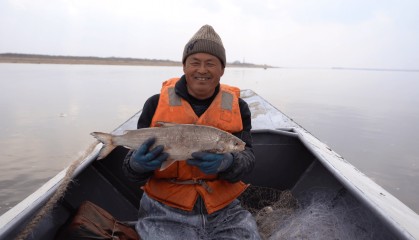 点赞！龙江冷水鱼 | 同江：开江“第一网” 渔猎“第一鲜”