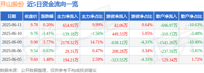 股票行情快报：开山股份（300257）6月11日主力资金净买入654.92万元