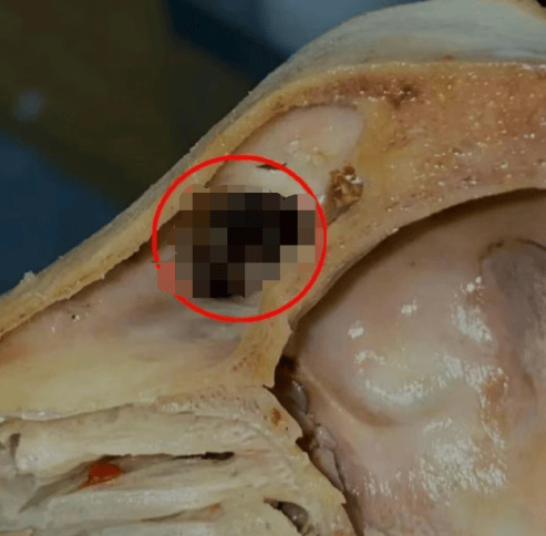 男子吃完外卖发现羊头骨里全是蛆,恶心一整夜,法院判了