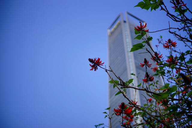 世茂集团(00813.HK):41亿美元可换债已转换为公司股份,18亿人民币境内贷款获展期