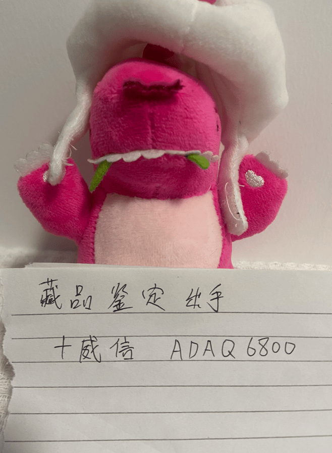 站洋币值钱吗？2026年站洋币价值是多少呢？