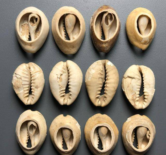 一枚币两个错别字(一枚币两个错别字图片) 一枚币两个错别字(一枚币两个错别字图片)