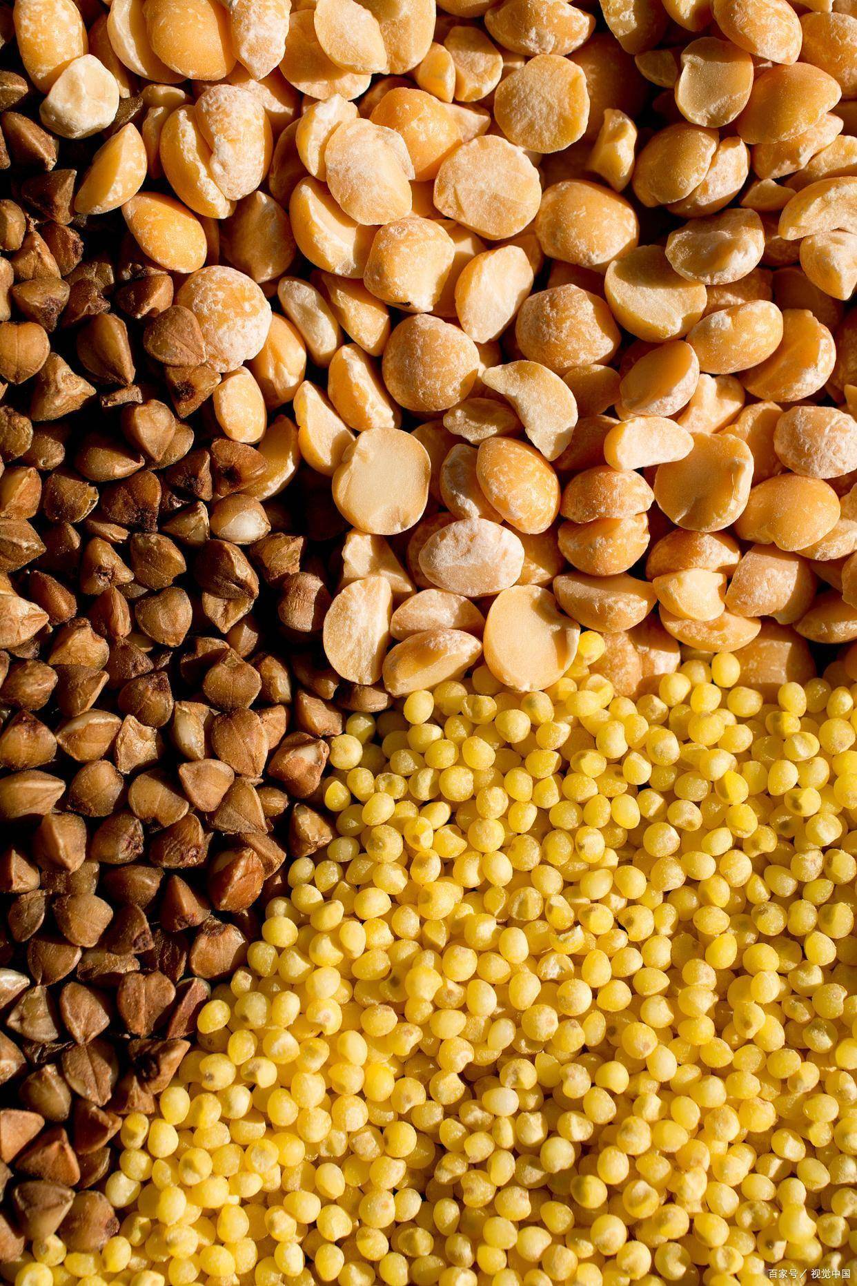 豆粕现货(豆粕现货3月10日已跌至3302元) 豆粕现货(豆粕现货3月10日已跌至3302元)