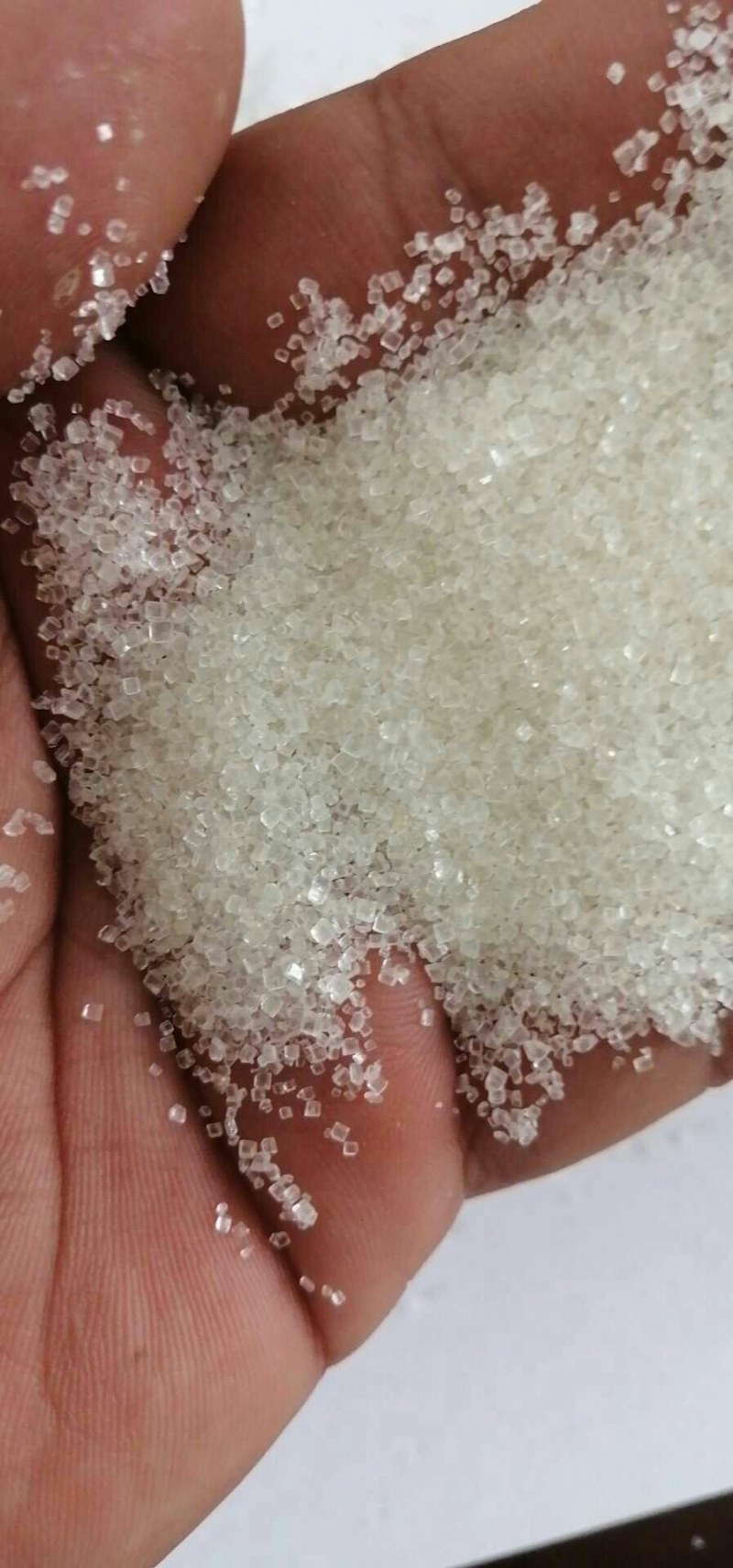 白糖现货(白糖现货行情走势图)